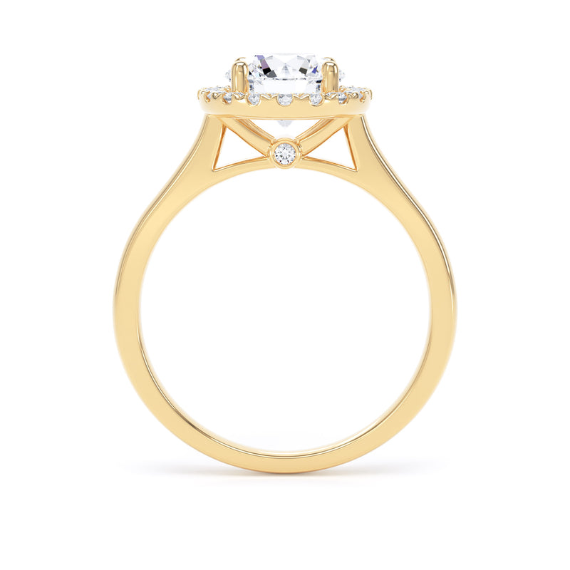 Halo Peekaboo Ring | Yellow Gold, Round Diamond | RHP03 LGR