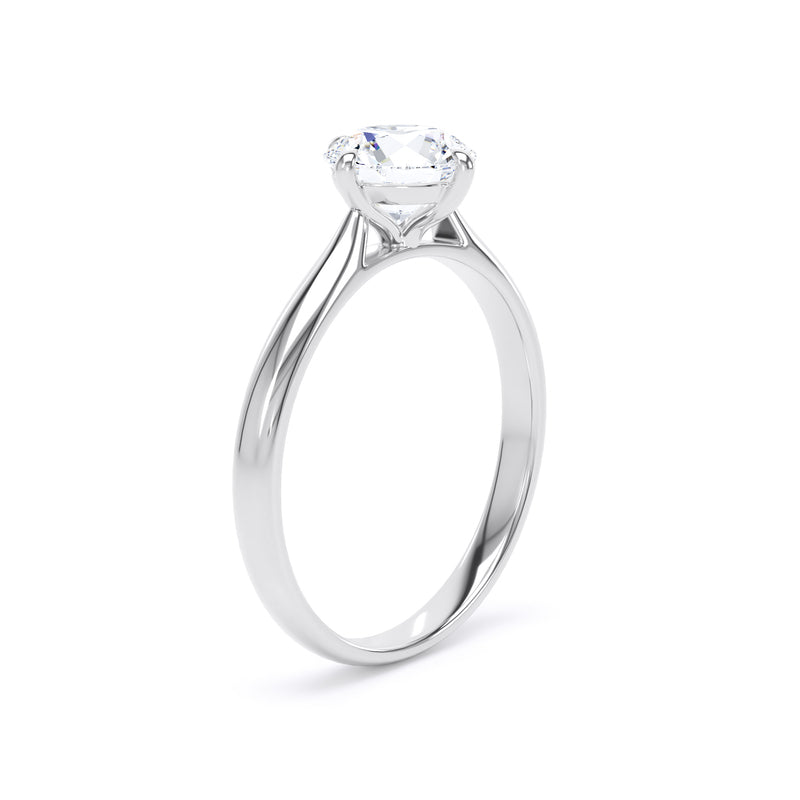 Round Diamond Platinum Ring, Cathedral Compass Set Solitaire | SMR RPP10